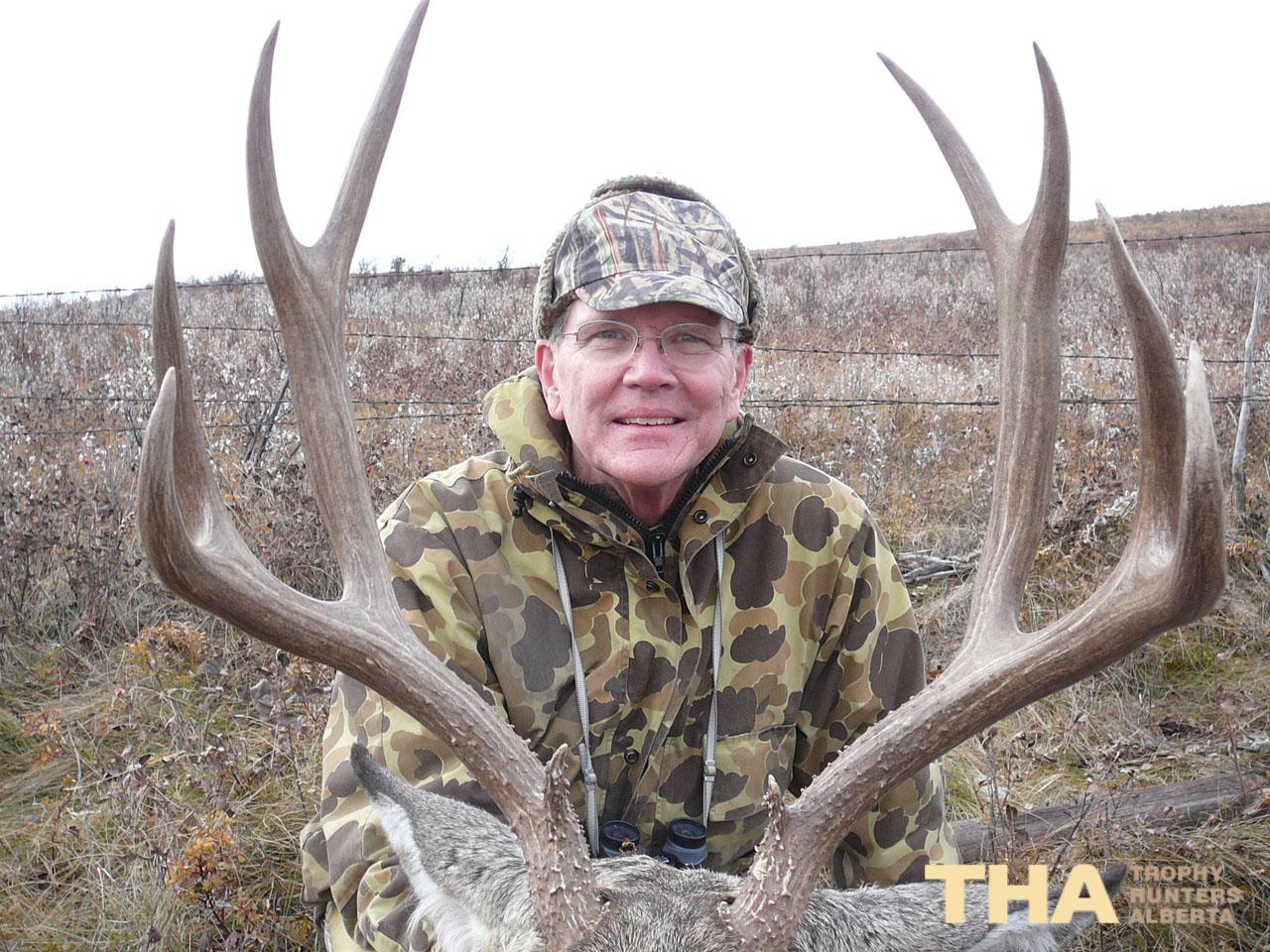 Mule Deer B