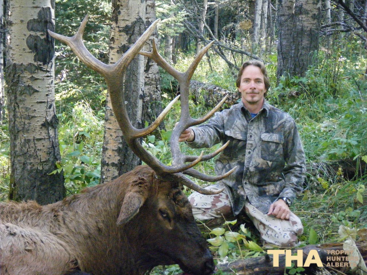 Elk