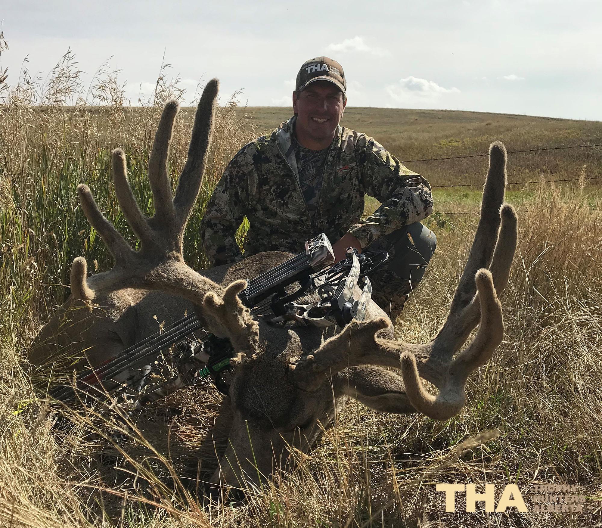 Mule Deer A