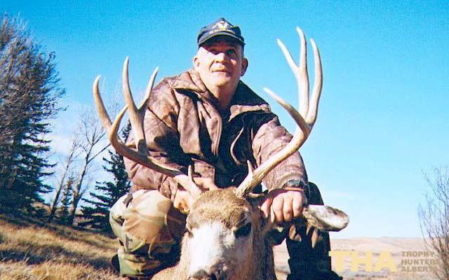 Mule Deer E