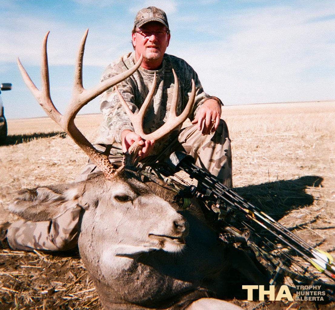 Mule Deer C