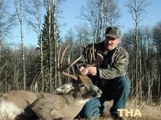Whitetail