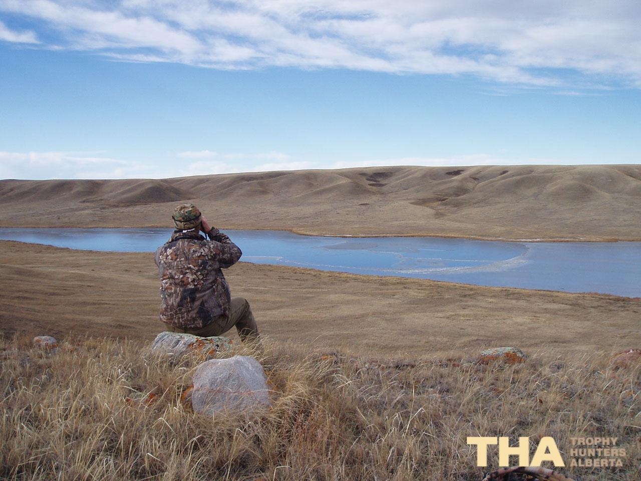 Prairies