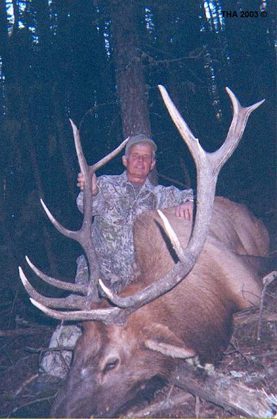 Elk B