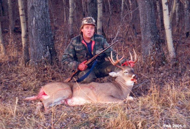 Whitetail B