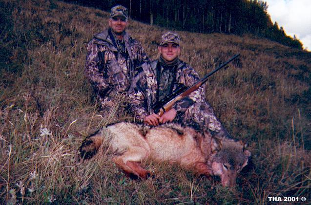 Wolf and Coyote